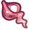 Charm - Whelk- Shapeshifter